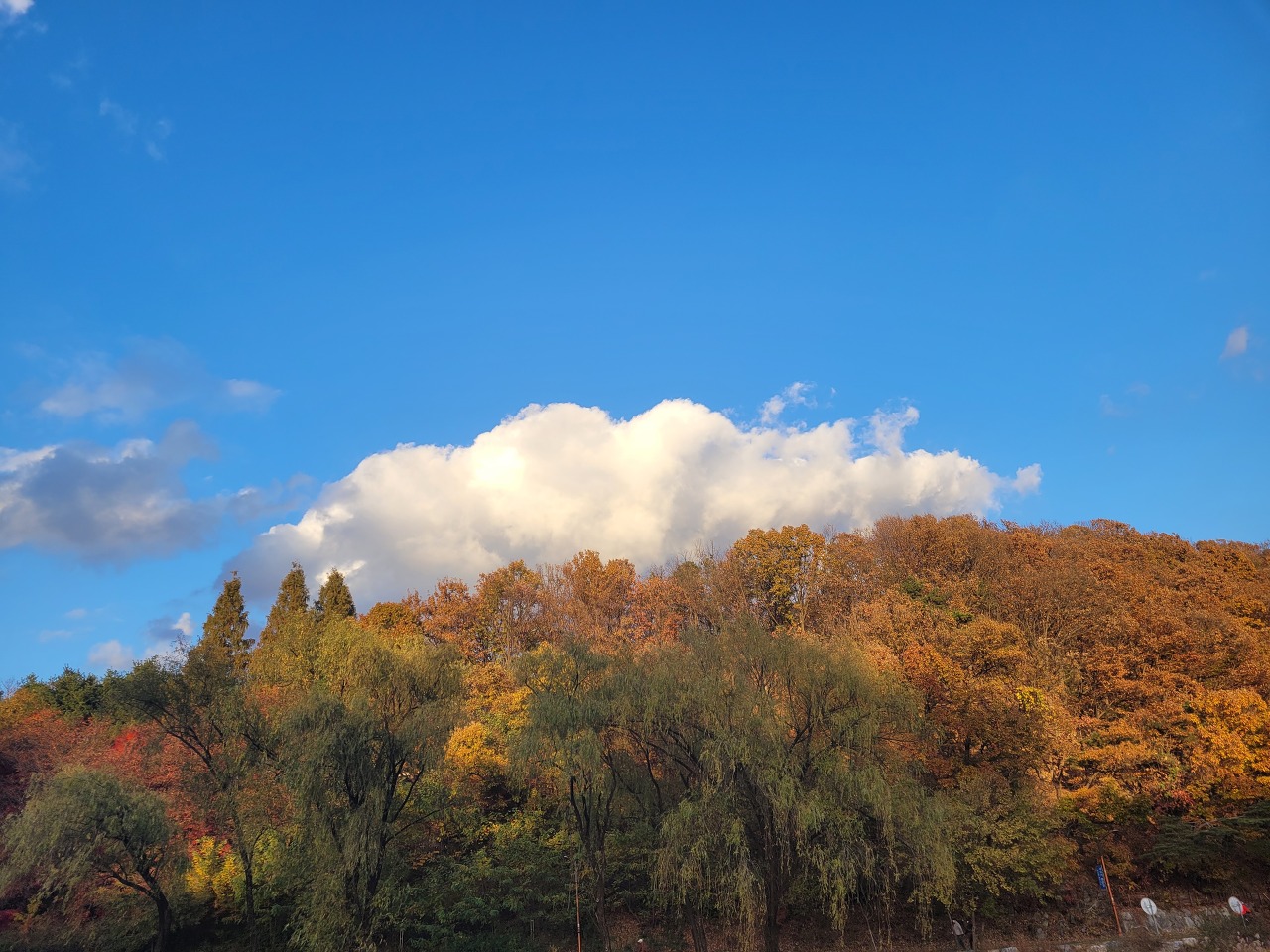 가을 풍경 사진 모음