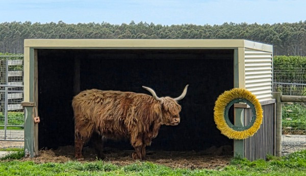 멜버른의 긴 여정 2. 필립 아일랜드 (+동물원)