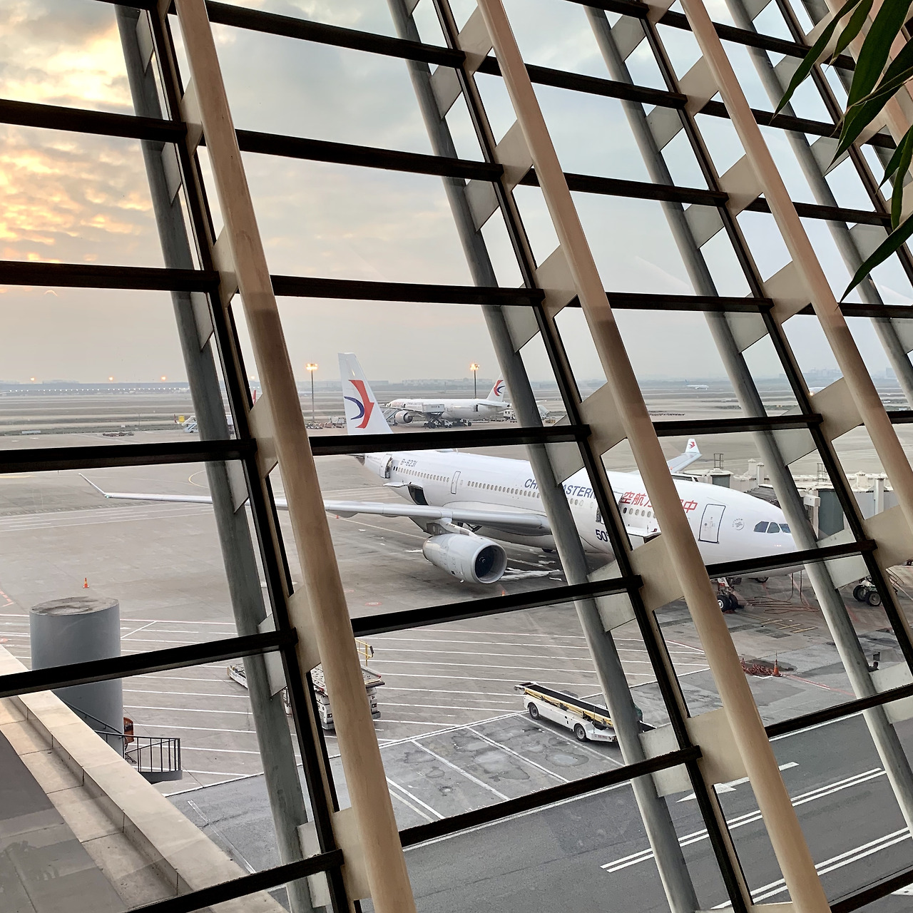 대구 출발 중국 동방항공 이용기
