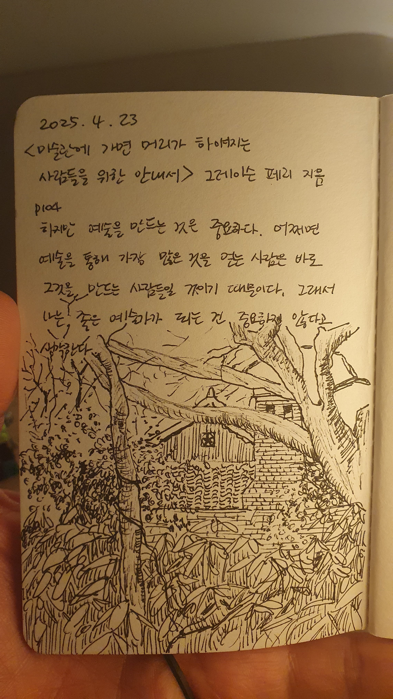 카지노 쿠폰