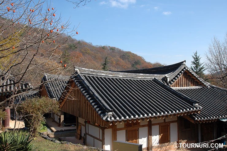 선암사