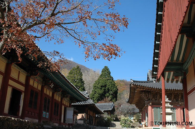 선암사