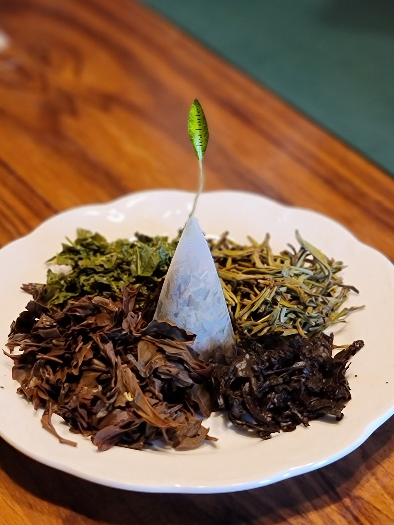 카지노 게임