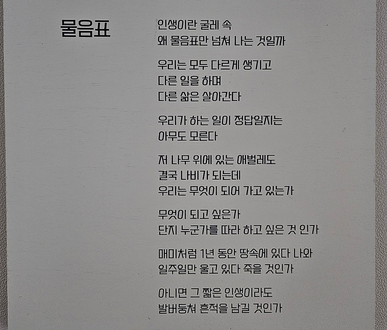 카지노 게임