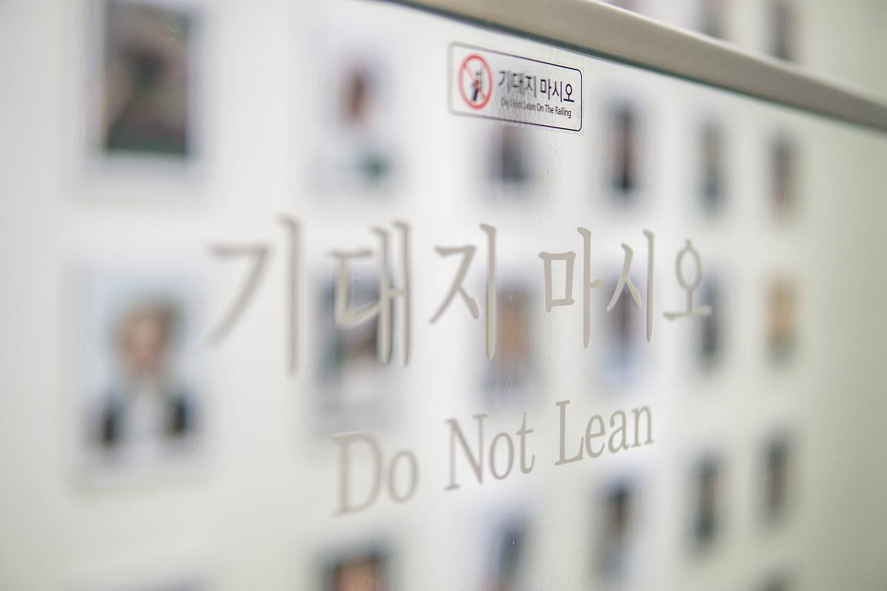 의지