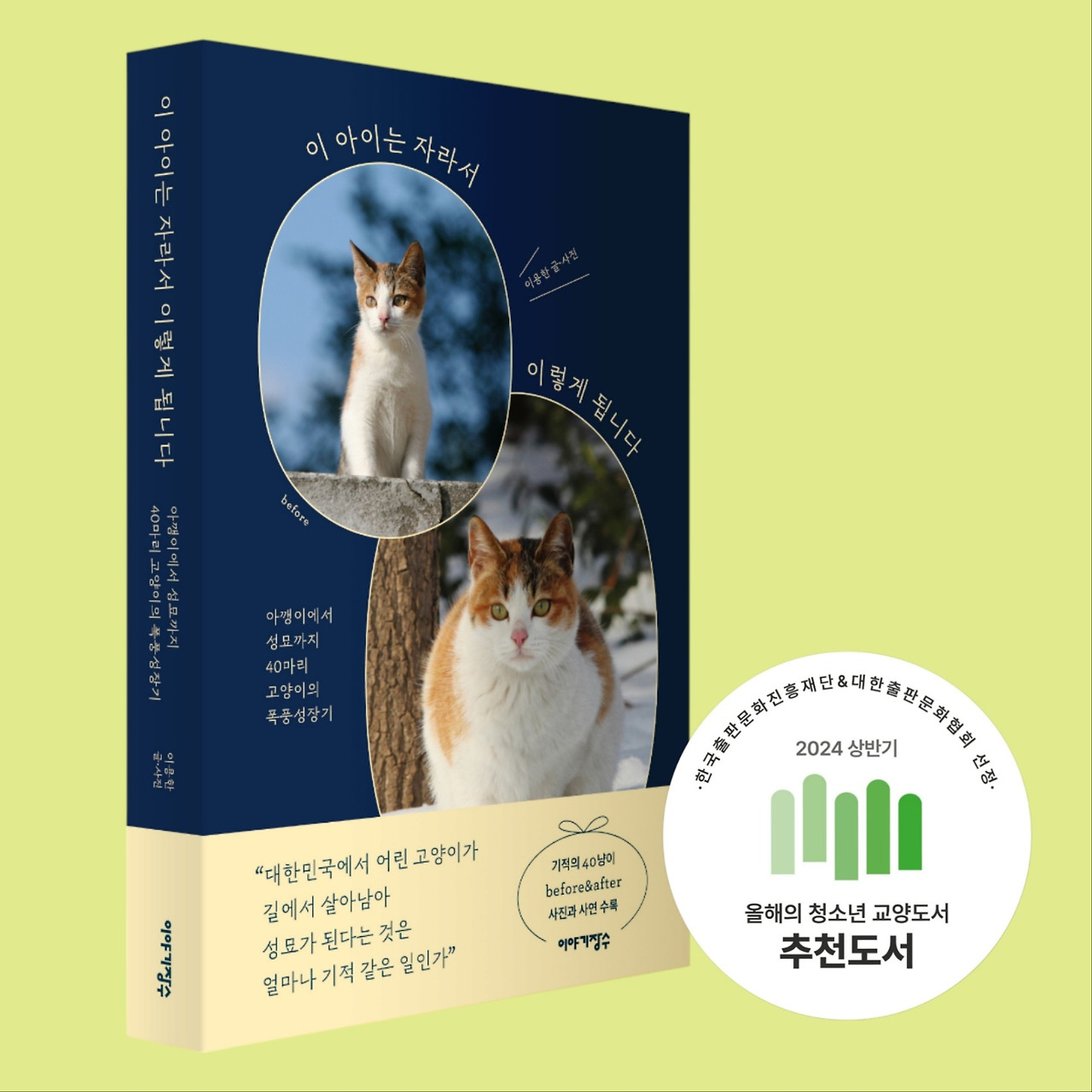 올해의 청소년 교양도서