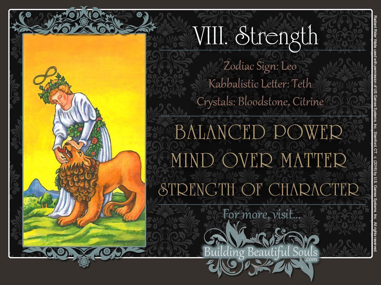 10화 VIII. 힘 (Strength): 내면의 향기
