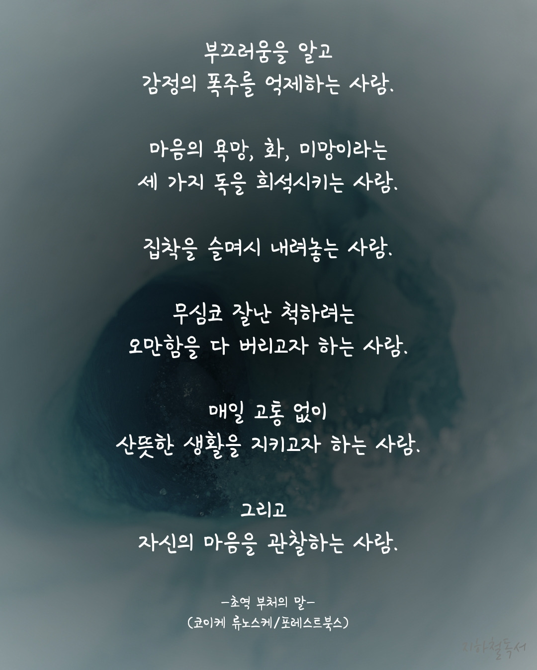카지노 쿠폰