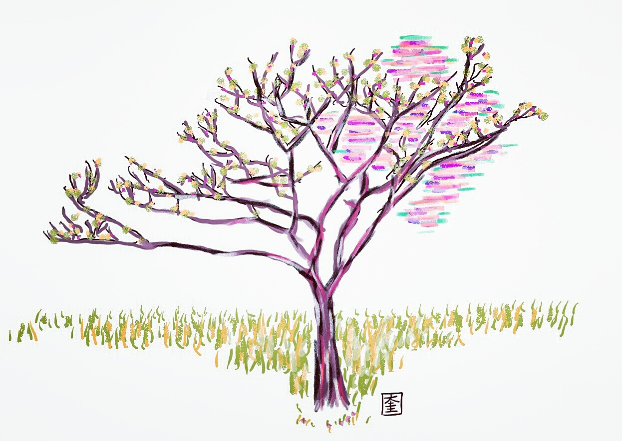 선
