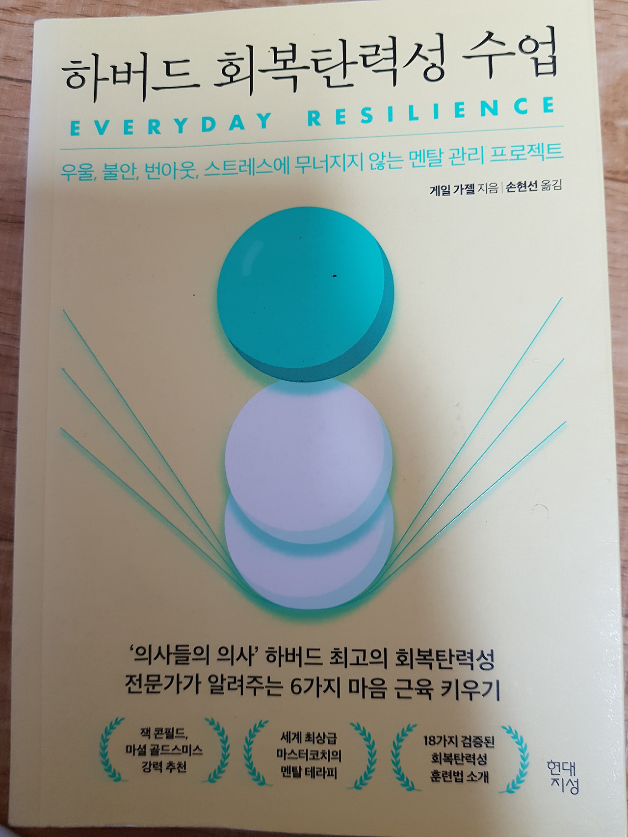 하버드 회복탄력성 수업