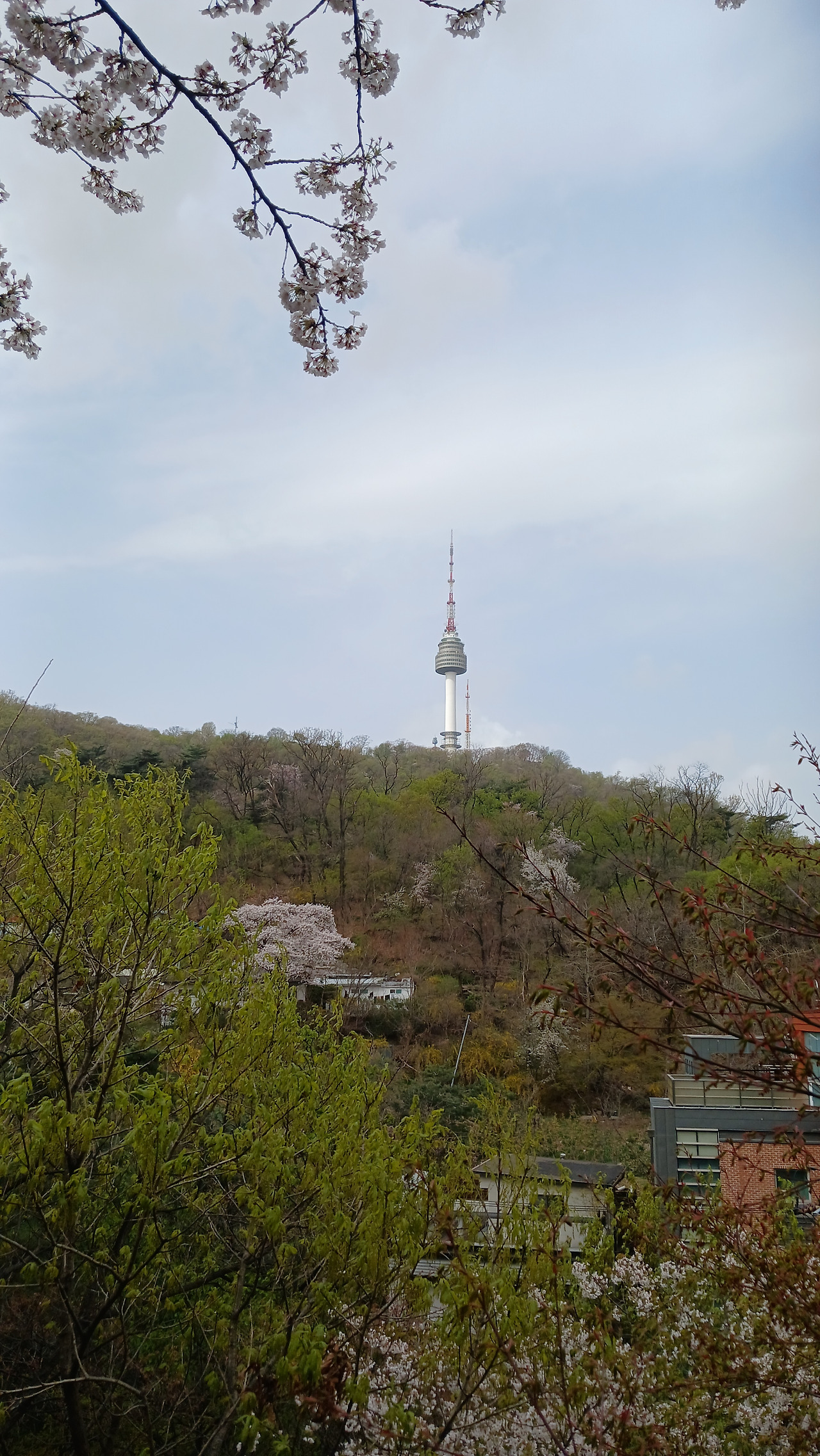 01화 남산산책