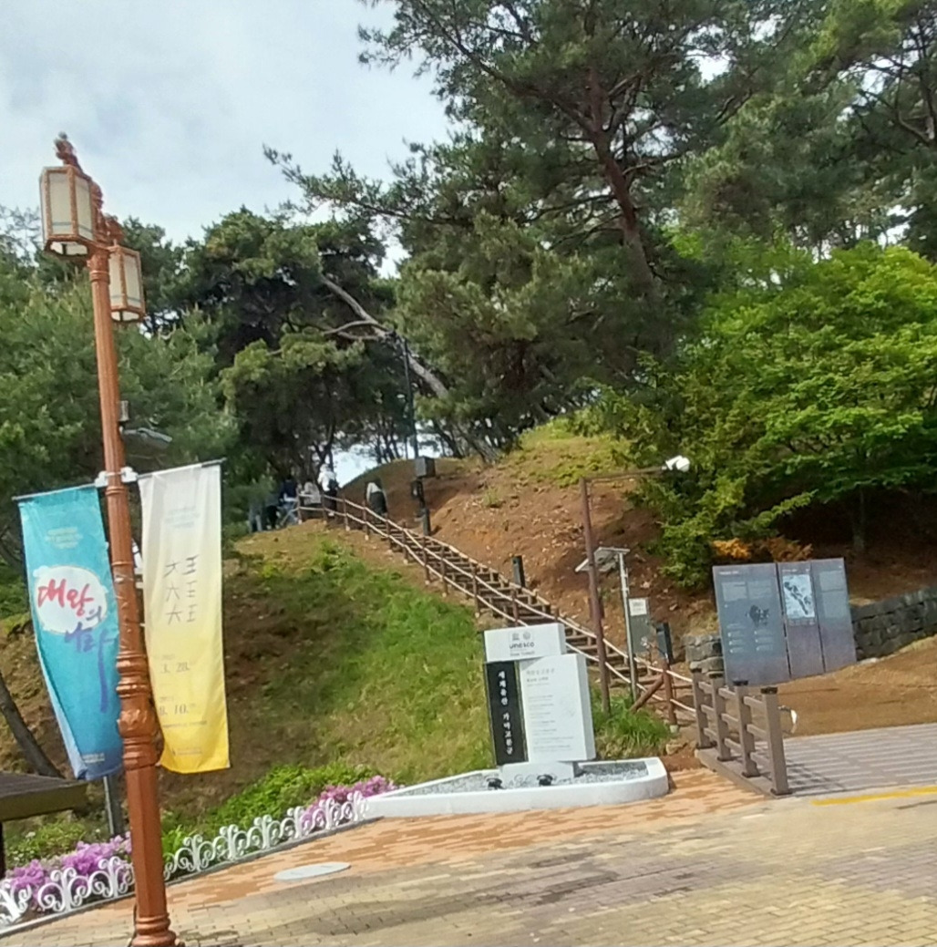 카지노 게임 추천