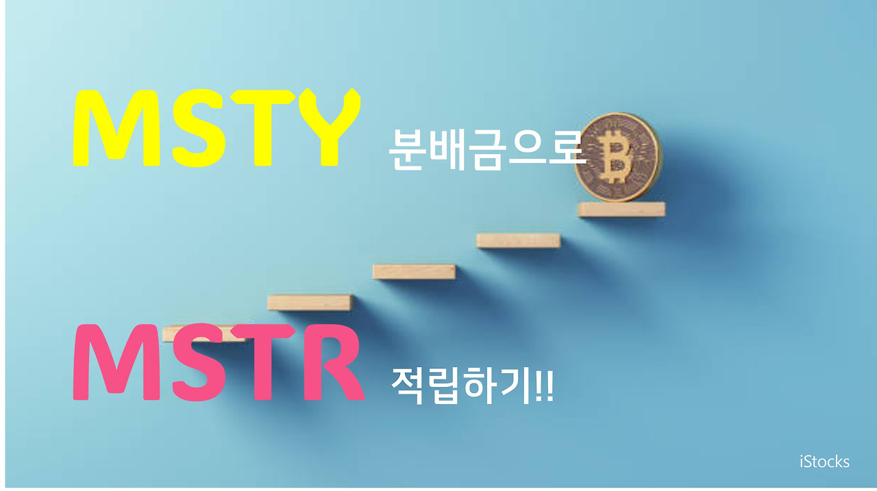 MSTY 배당금을 MSTR에 투자한다면 수익률은..
