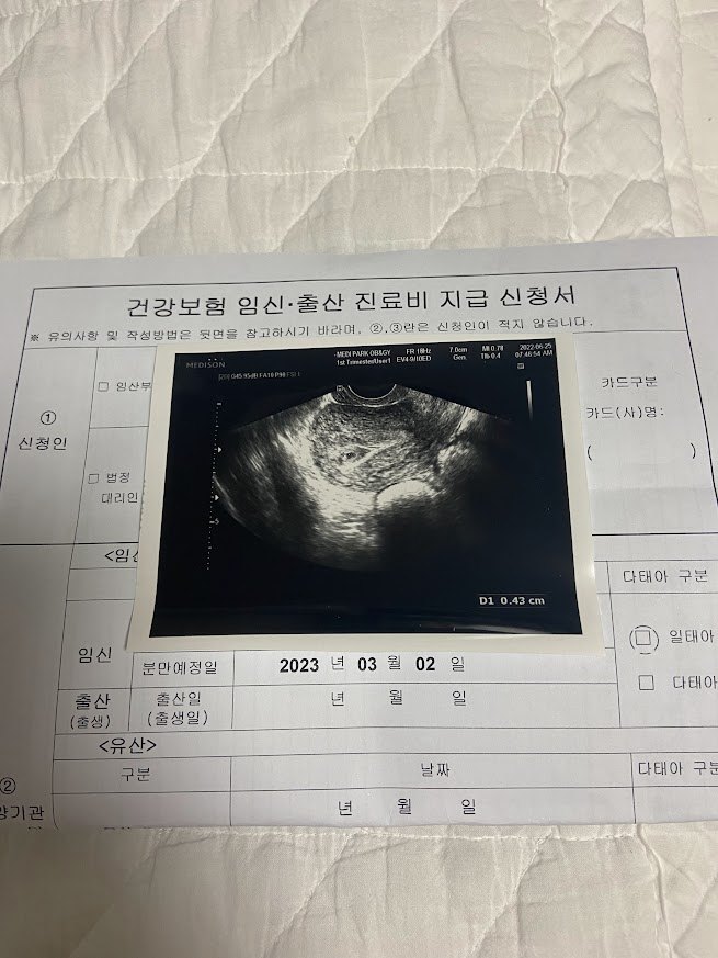 한국 여행 갔다가 임신 확인하게 된 썰