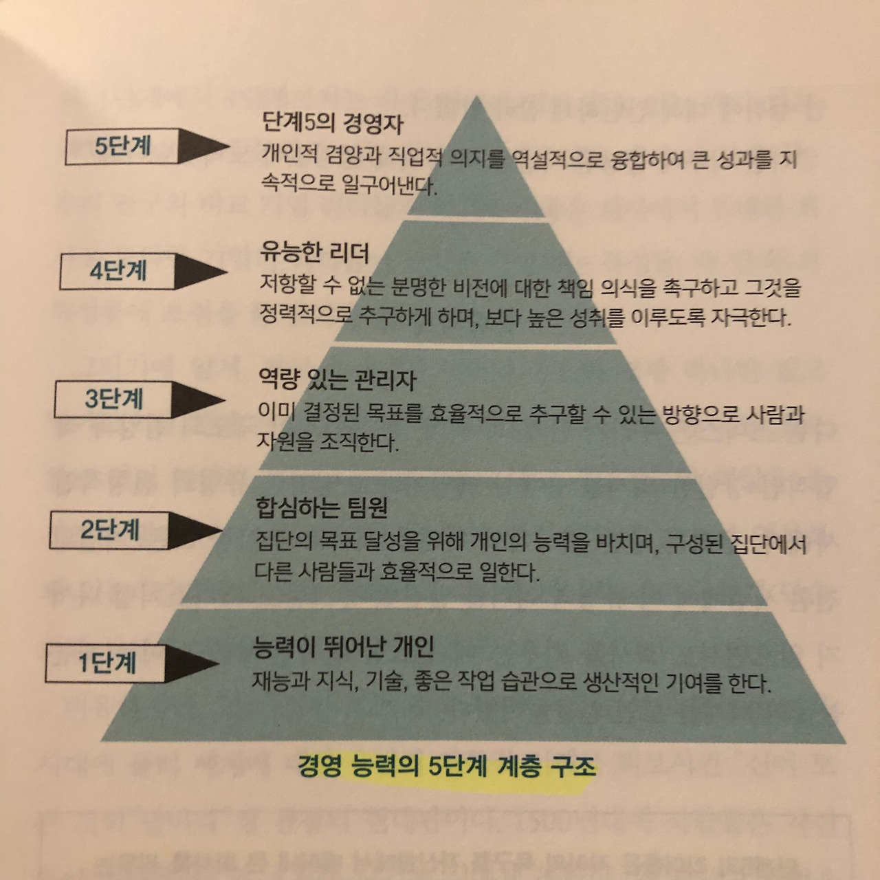 단계5의 리더십