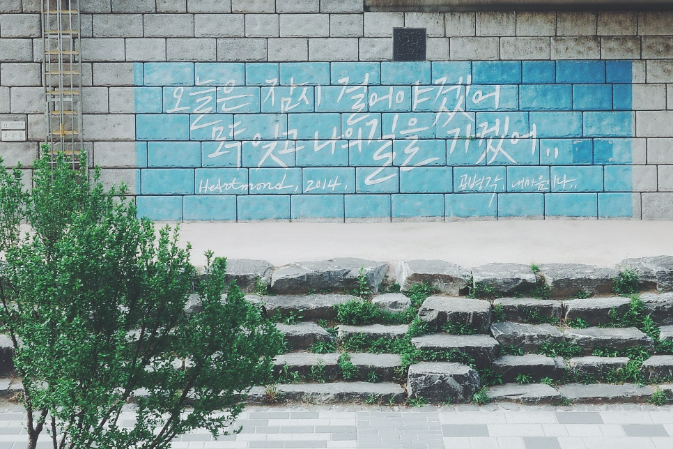 카지노 가입 쿠폰