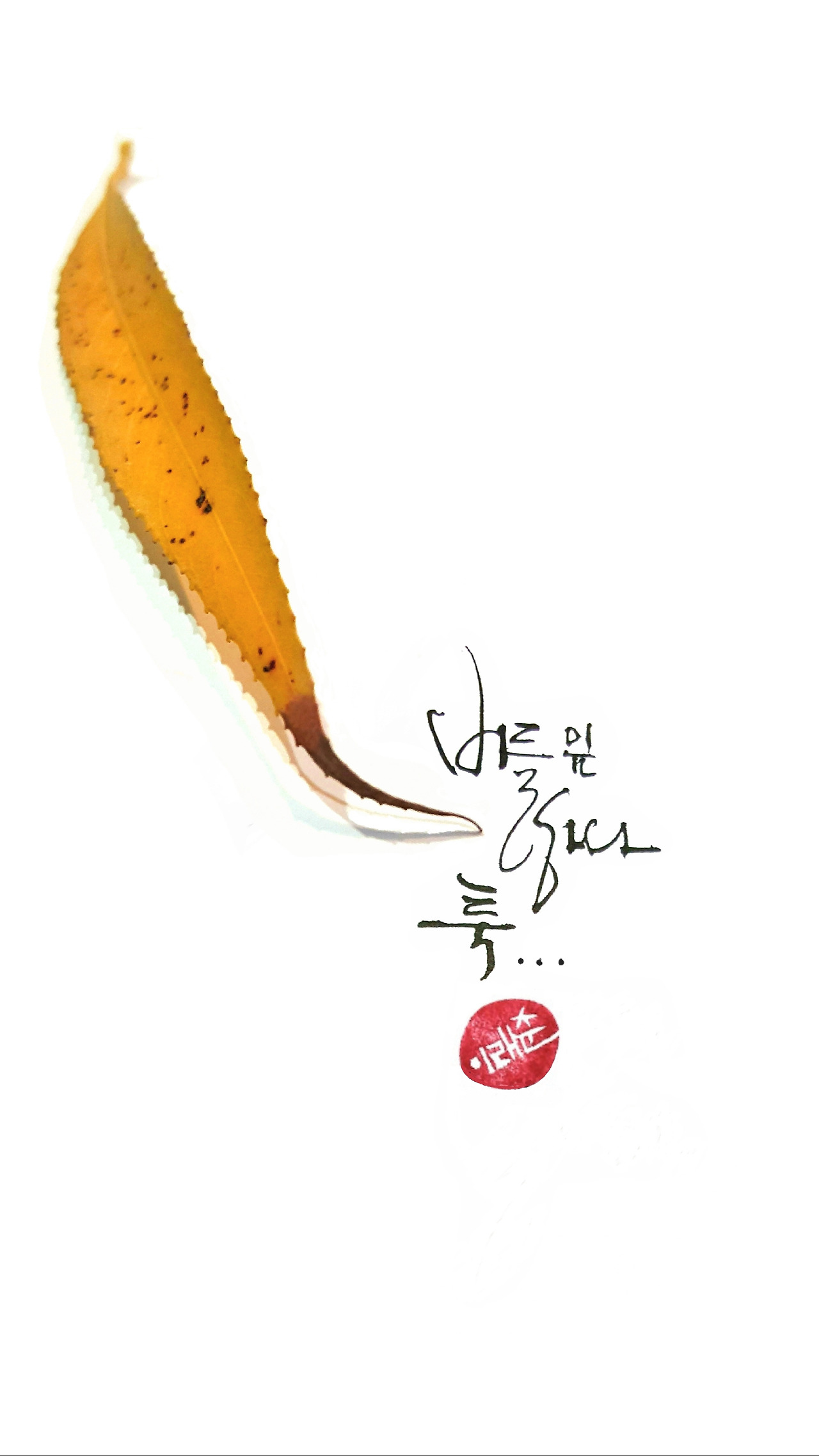 12월의 연가戀歌