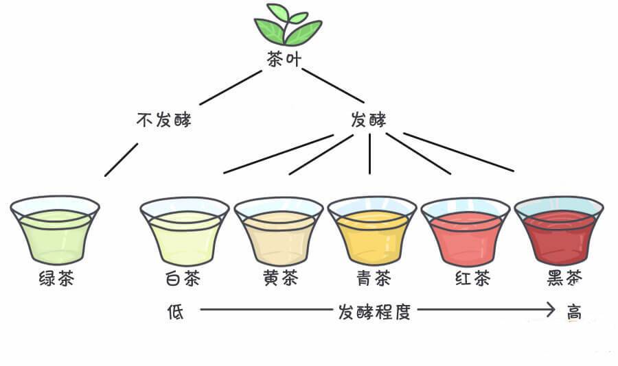 중국차의 6대 분류