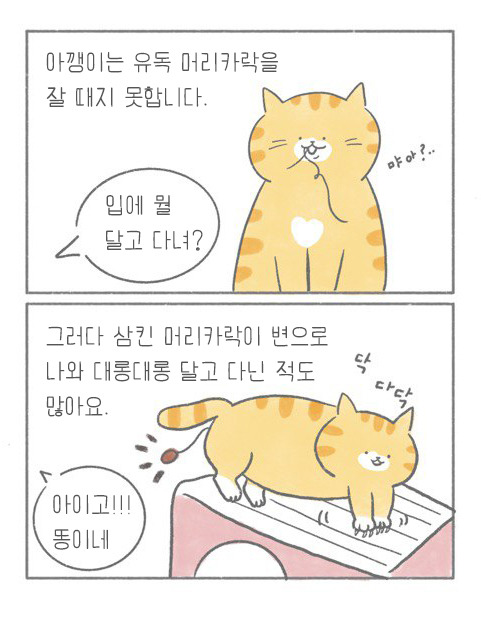 온라인 카지노 게임