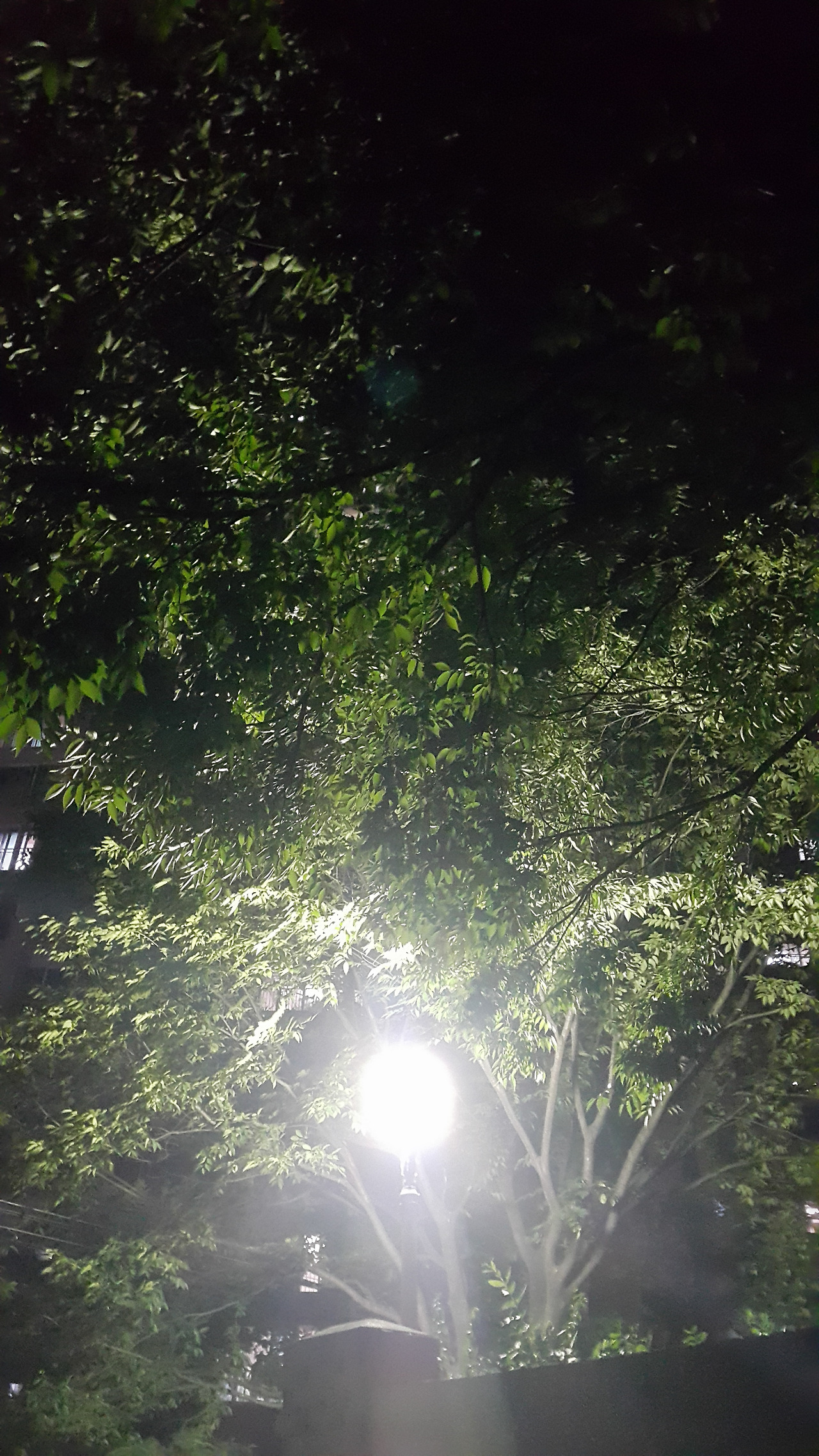 자정 무렵