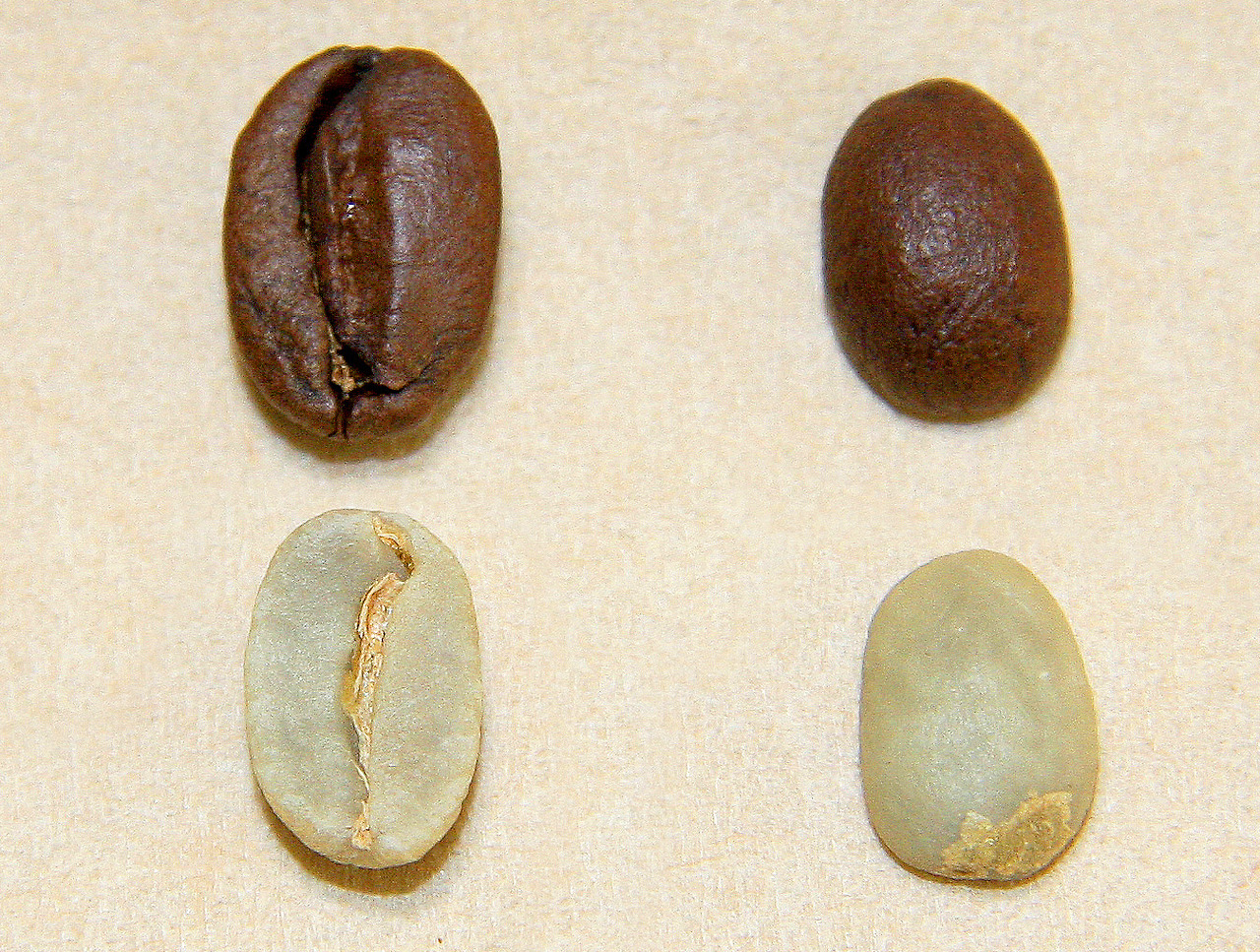 Feeling coffee