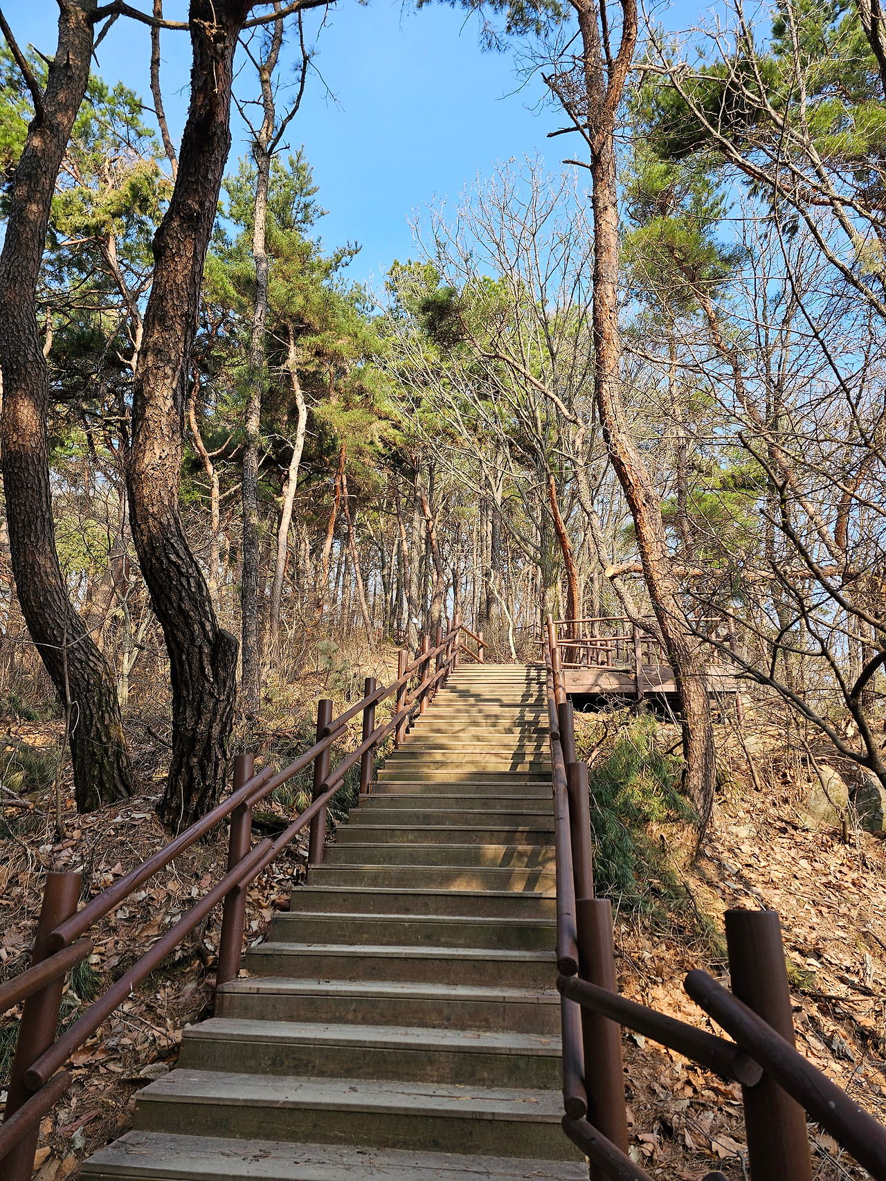 브런치 글 이미지 3