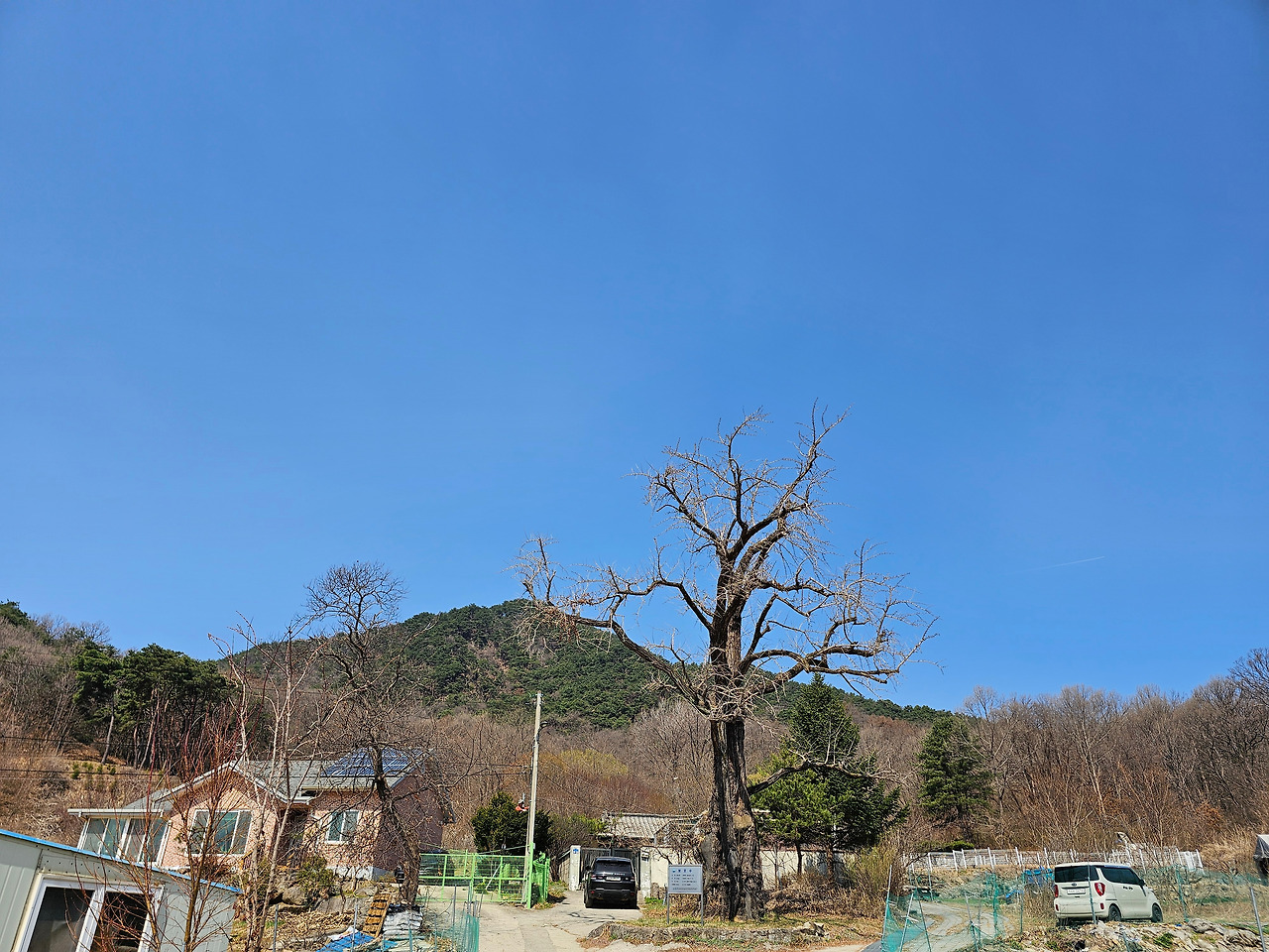 브런치 글 이미지 53