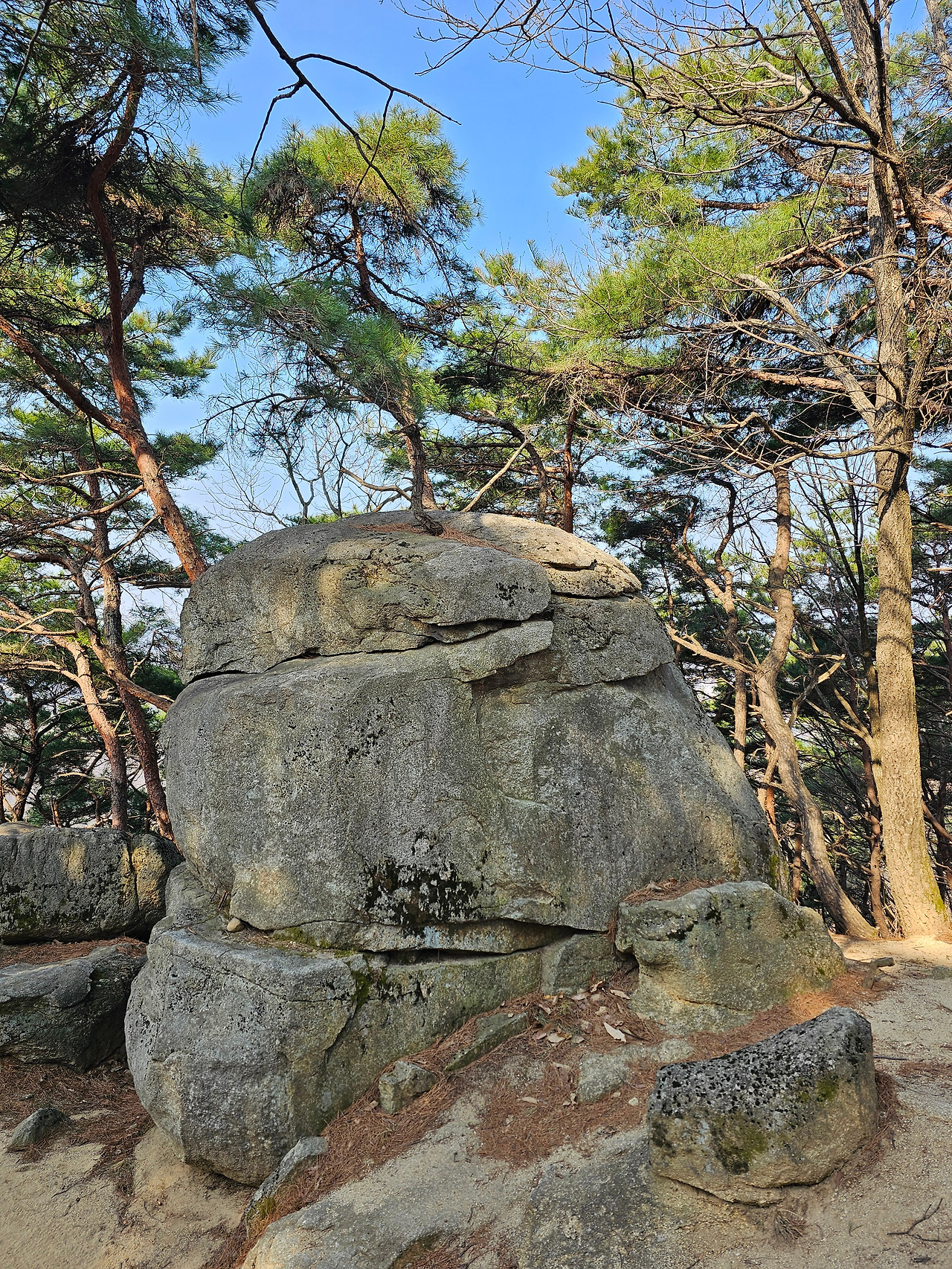 브런치 글 이미지 21