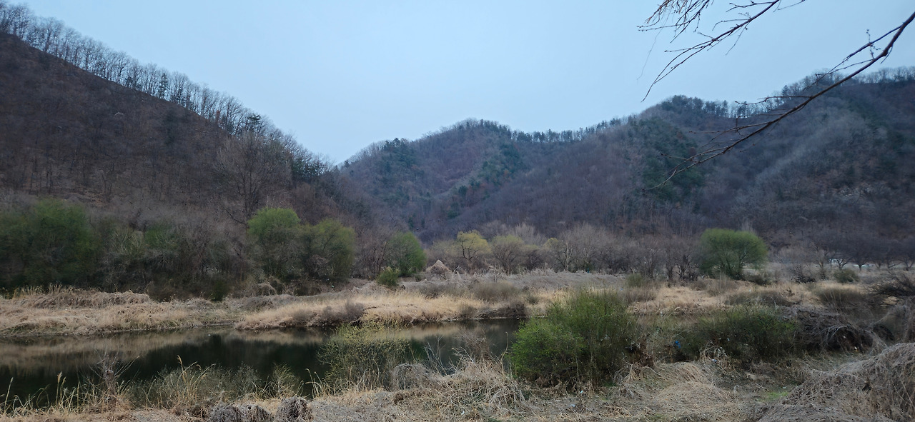 카지노 게임 추천