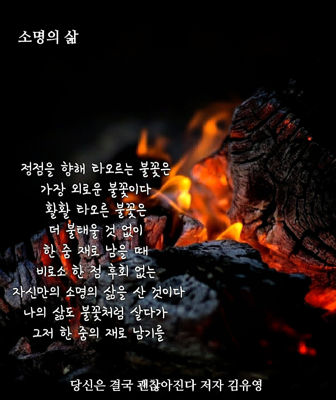 슬롯 머신 프로그램