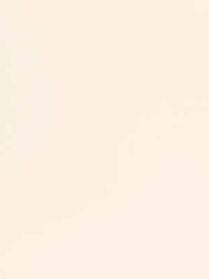 온라인 카지노 게임