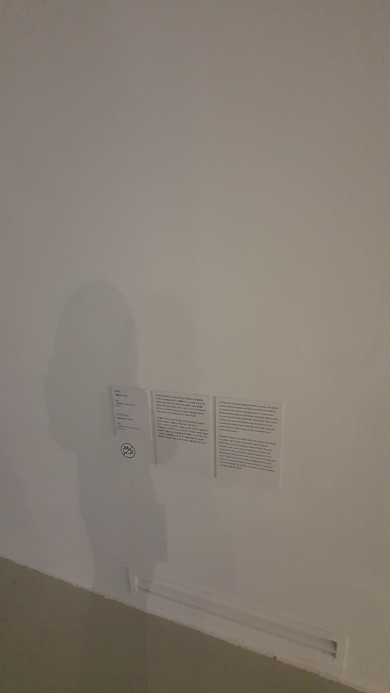 카지노 게임