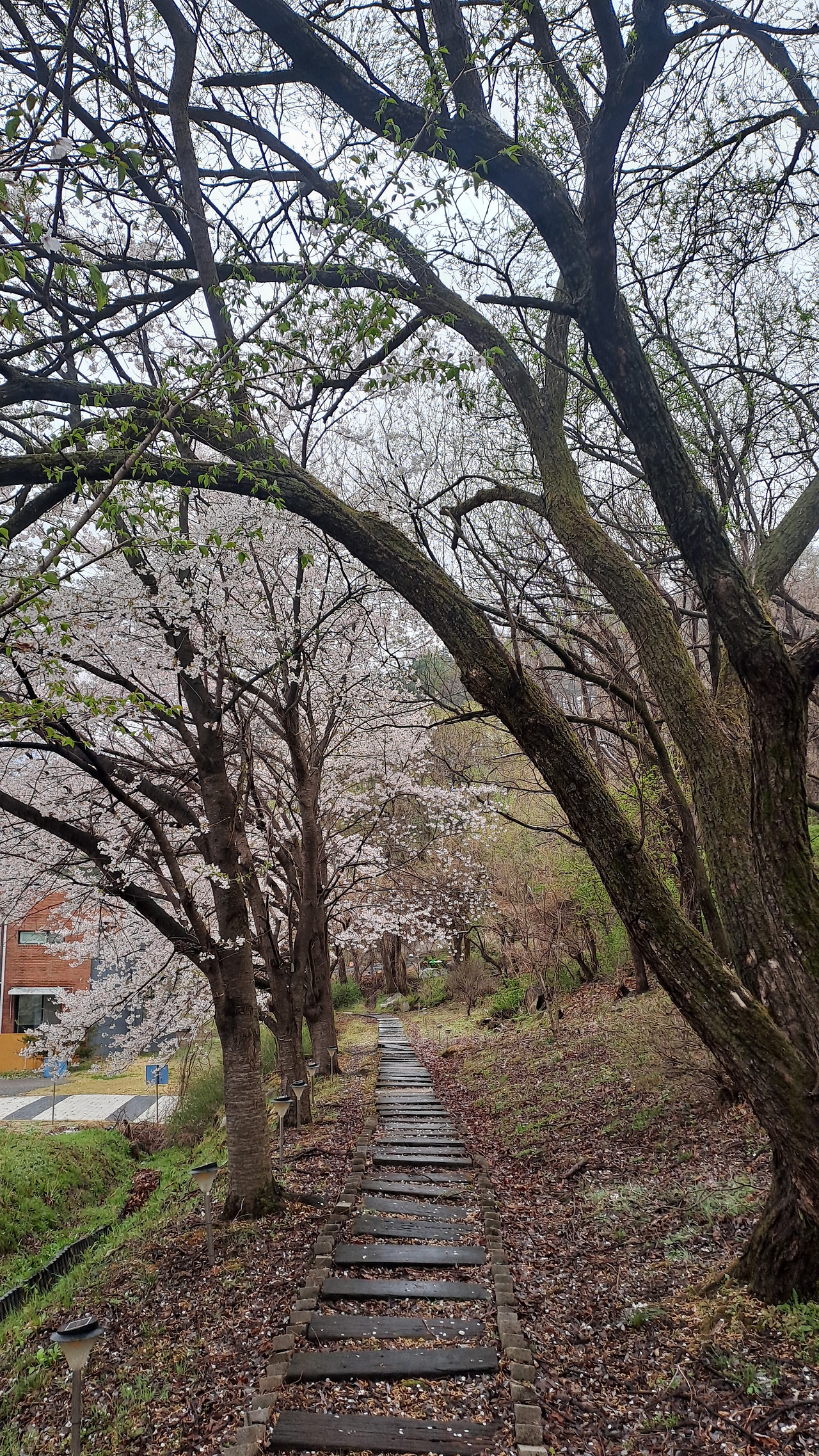 메이저사이트
