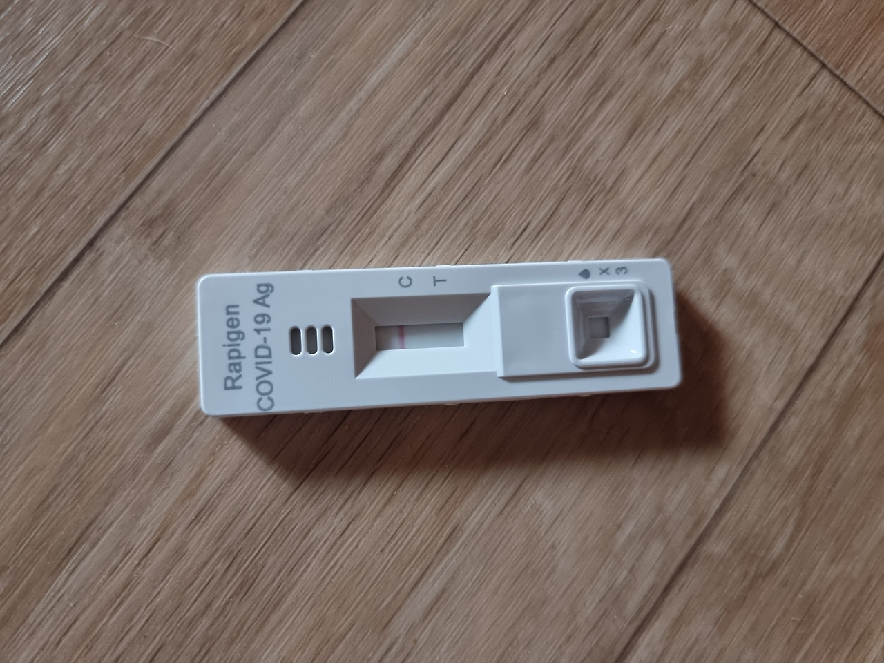 카지노 게임 사이트