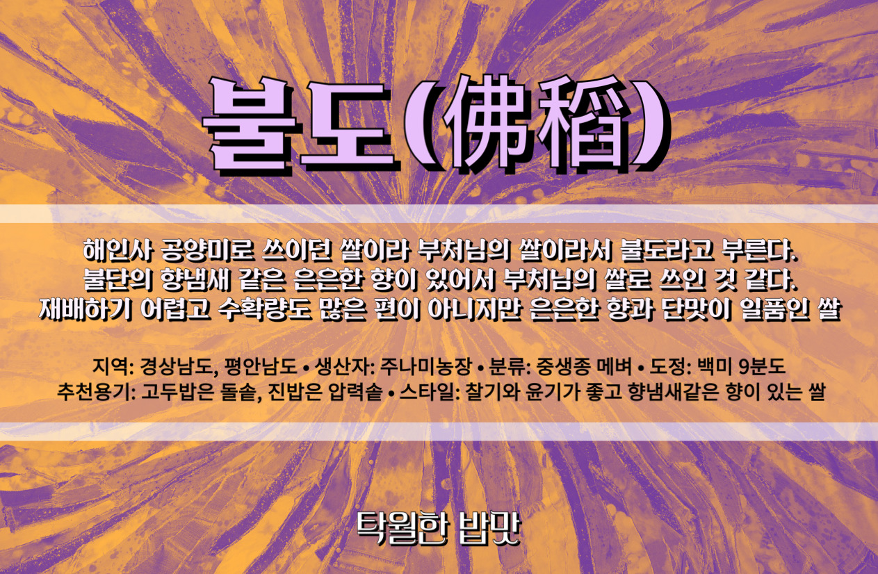 온라인 카지노 게임