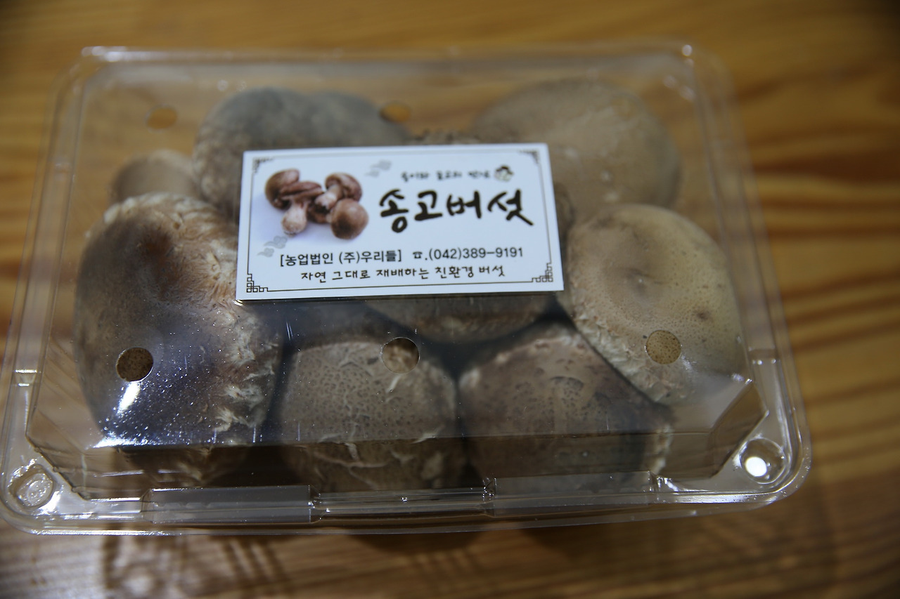 송고버섯