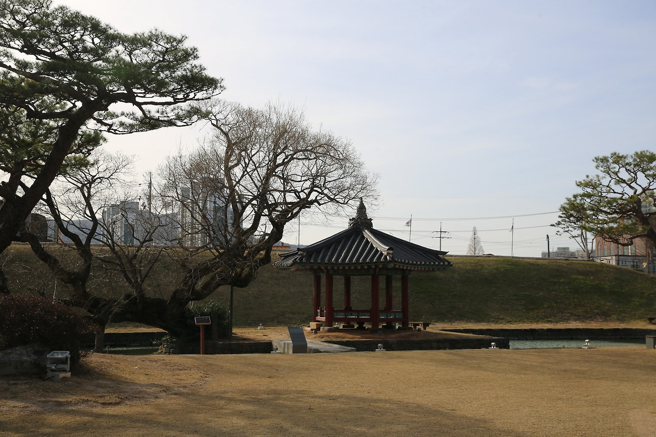 홍성한우