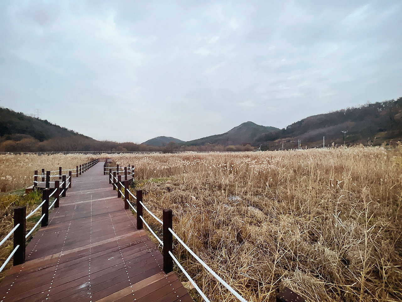그 겨울, 춥다.