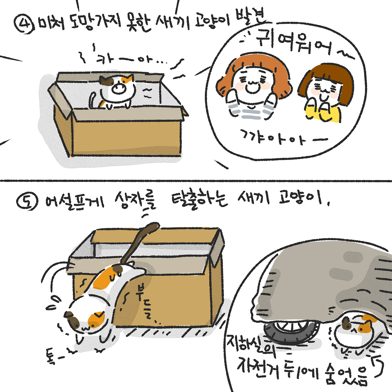 05화 길냥이 먹이 주기