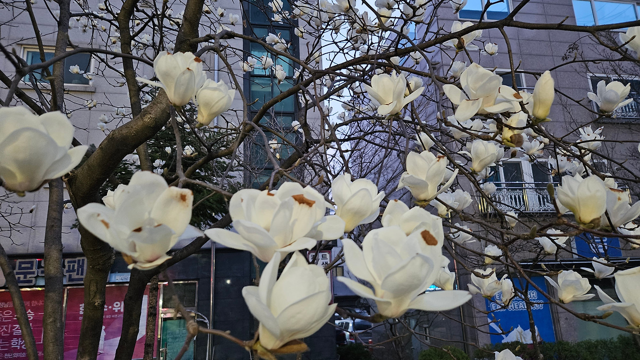 무료 카지노 게임