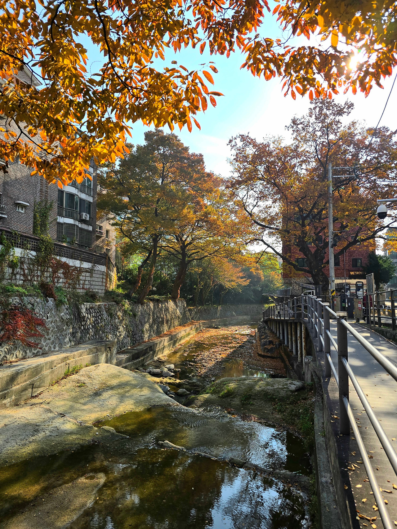 서울 강북 | 도시와 산의 경계에서, 성북을 걷는 마음