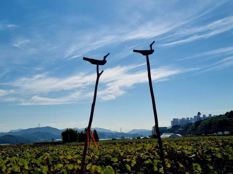 카지노 게임