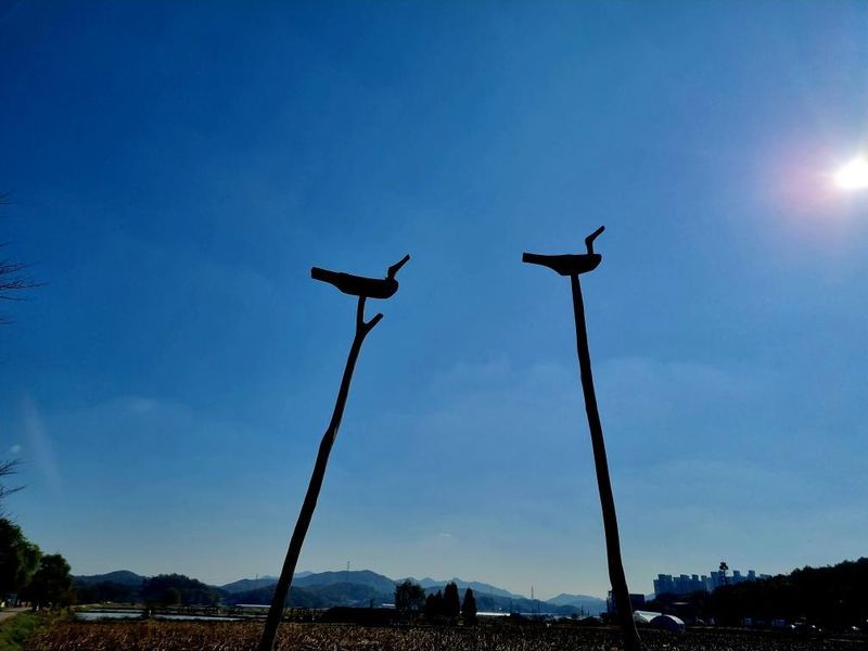 카지노 게임