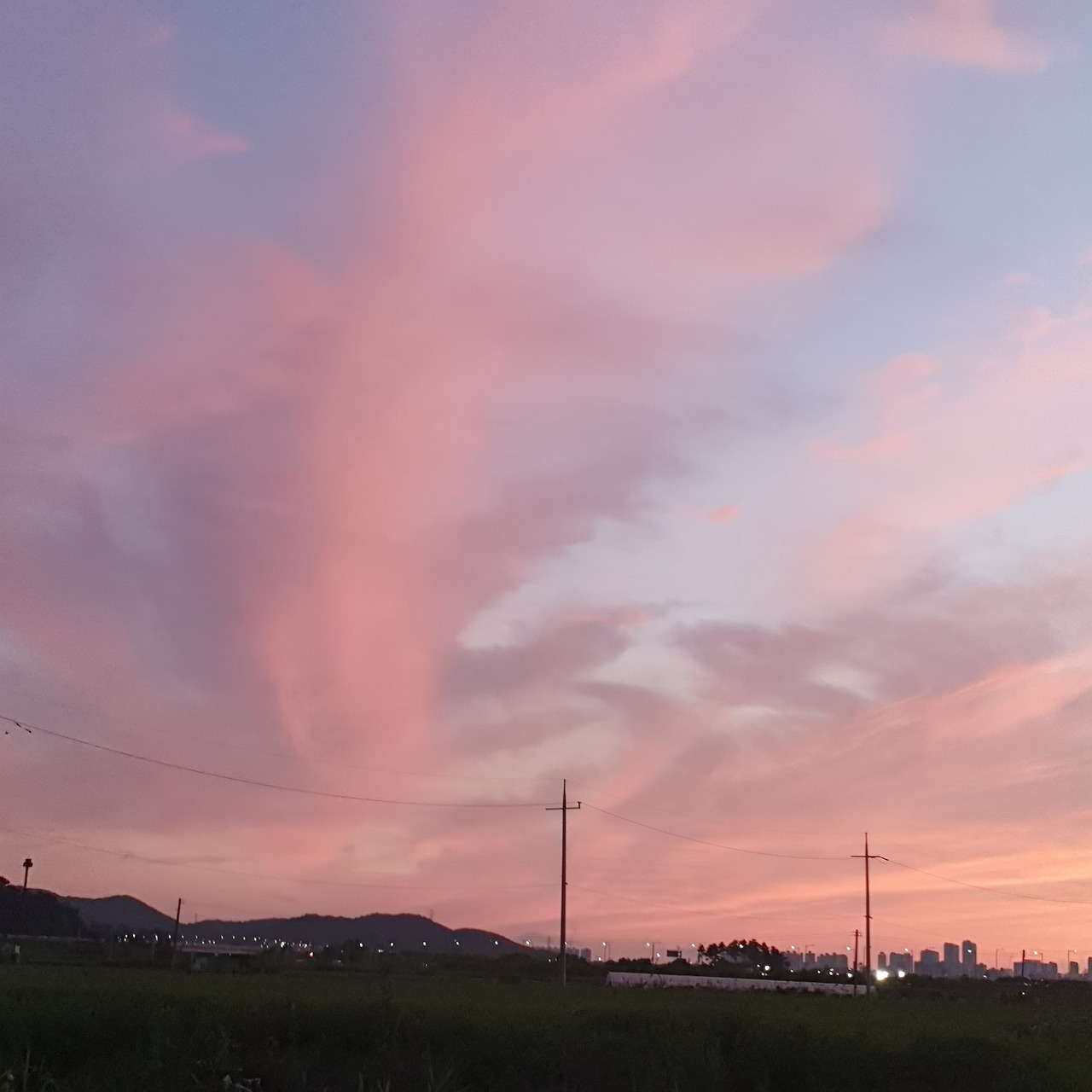 카지노 게임