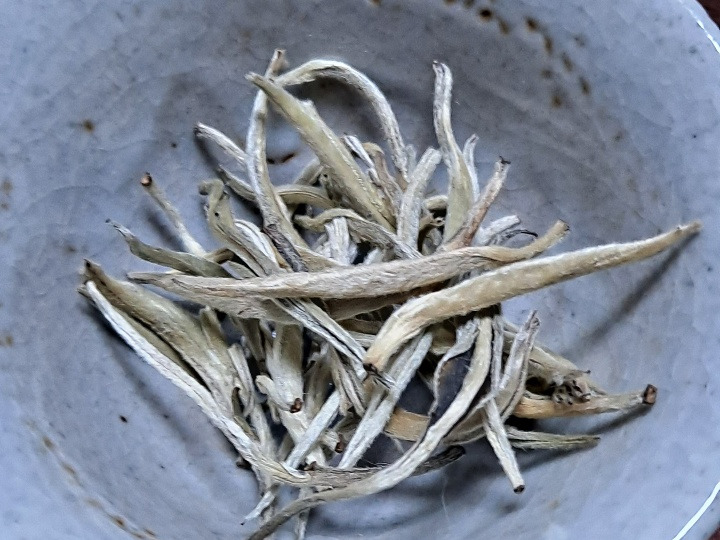 13화 13. 知茶_고산생태 백차 백호은침