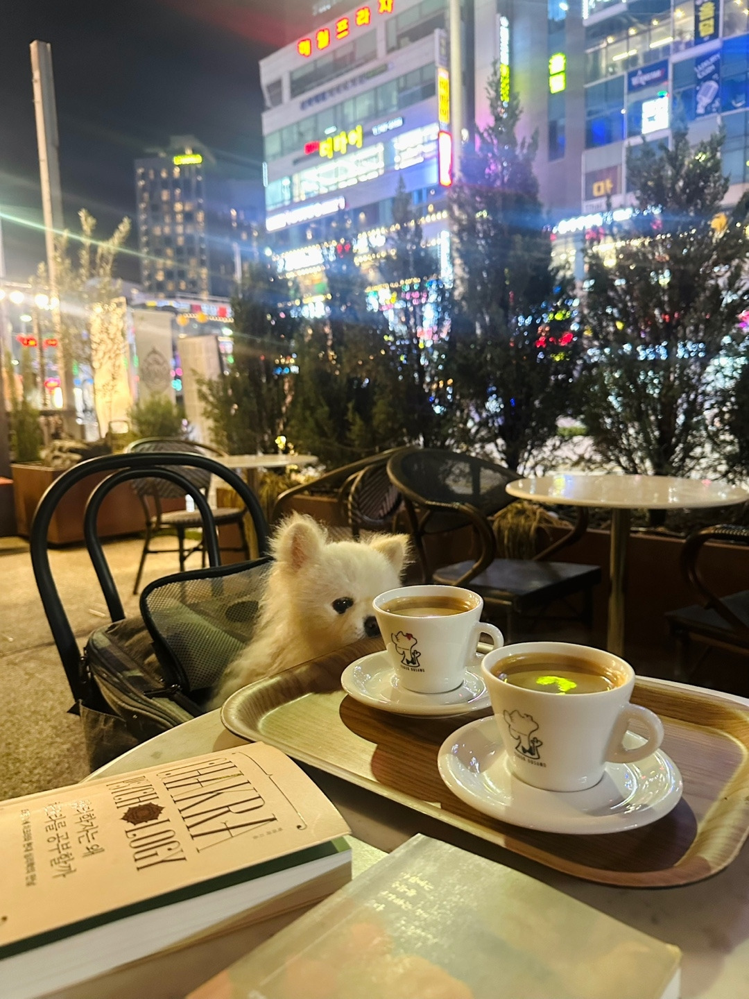 온라인 카지노 게임
