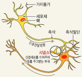 와글와글 소란스러운 아이의 머릿속 교통정리