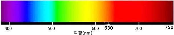 12화 빨강, 그리고 또 빨강의 열정과 힐링