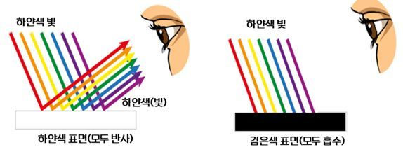 빛의 소나타, 초록은 동색(同色)이라 서로 반사한다.