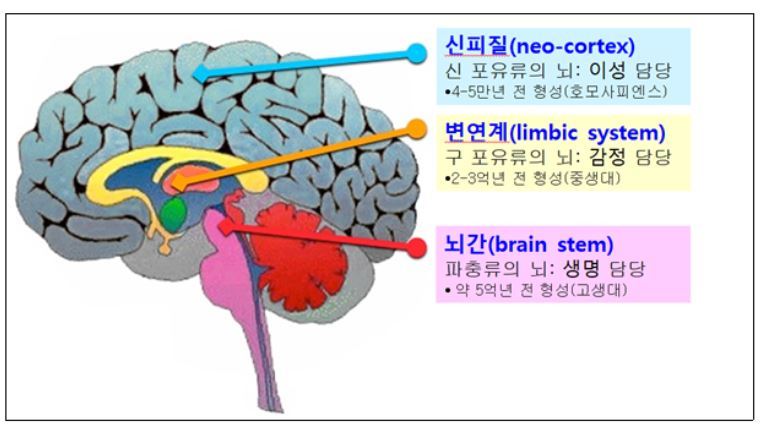 '욱'하는 감정을 만드는 뇌
